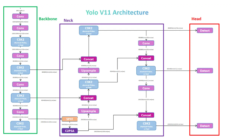 rsitektur yolo